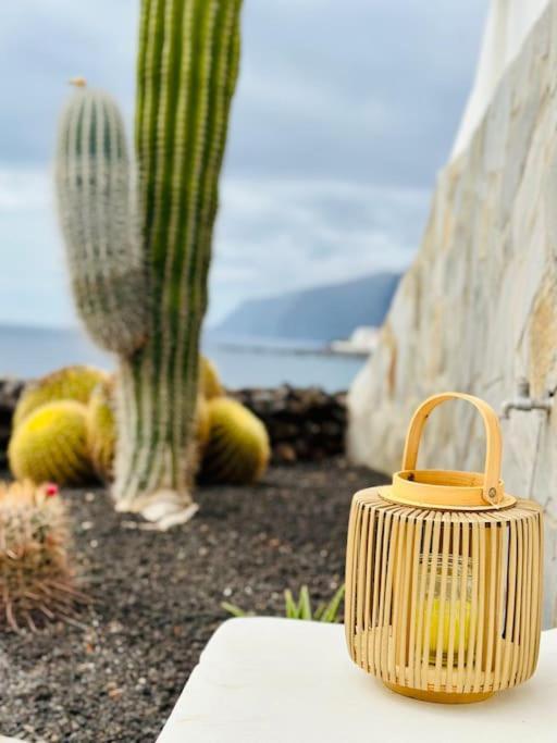 Beachfront Villa And Pool Puerto de Santiago  Εξωτερικό φωτογραφία