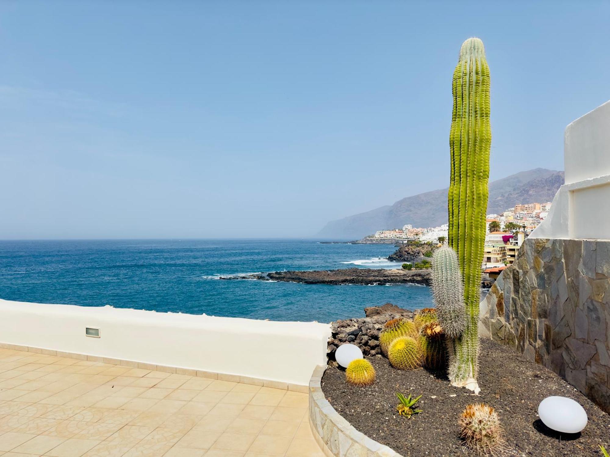 Beachfront Villa And Pool Puerto de Santiago  Εξωτερικό φωτογραφία
